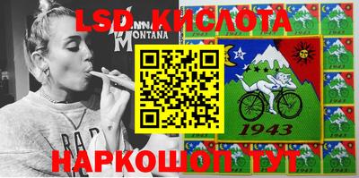 крисы Моздок