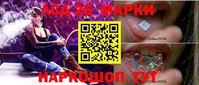 крисы Моздок
