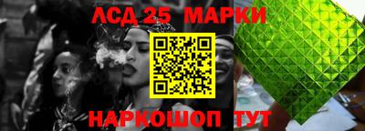 крисы Моздок