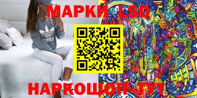 крисы Моздок