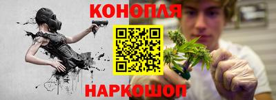 гашик Можайск