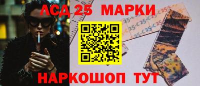 крисы Моздок
