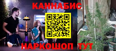 крисы Моздок