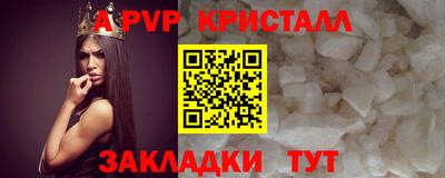 крисы Моздок