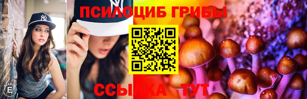 Псилоцибиновые грибы Psilocybe Урюпинск