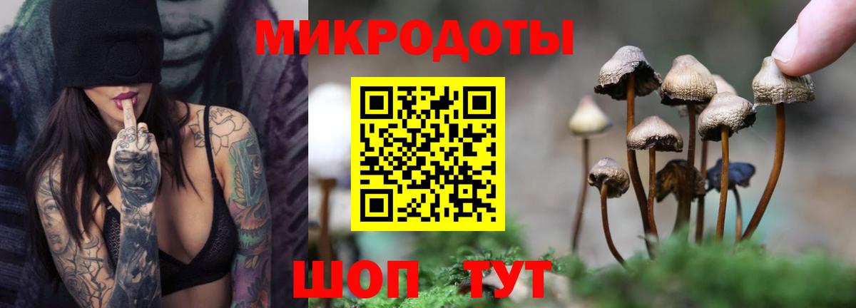 Галлюциногенные грибы GOLDEN TEACHER  Галлюциногенные грибы мицелий  Вход с VPN  где найти   Урюпинск 